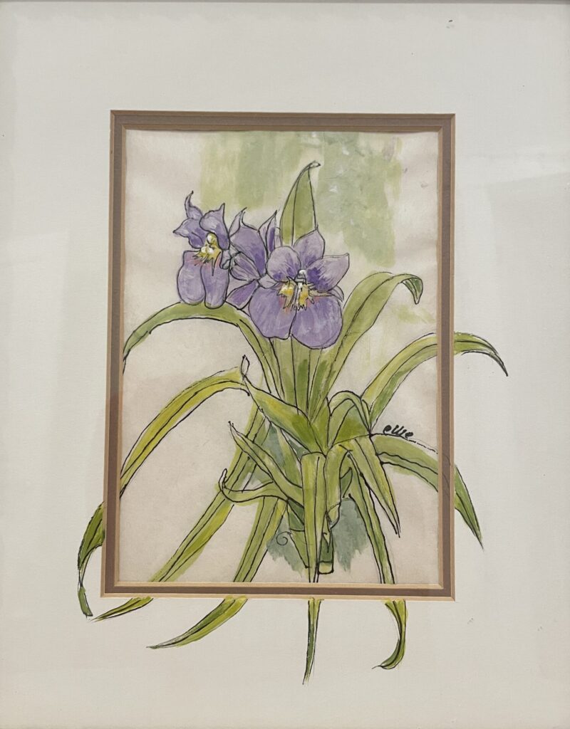 211W, Purple Orchid, Watercolor Dimensions: W 8.75" x H 10.75" Collection: Private